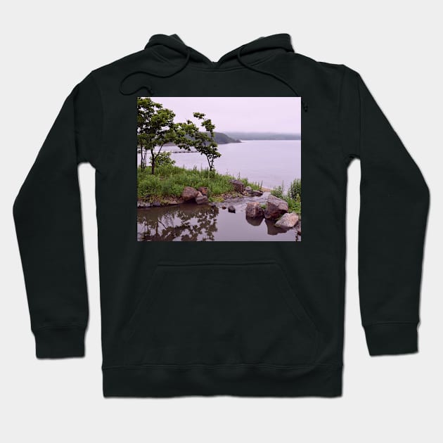 Pond on Campus of Far East Federal University, Vladivostok, Russia Hoodie by IgorPozdnyakov